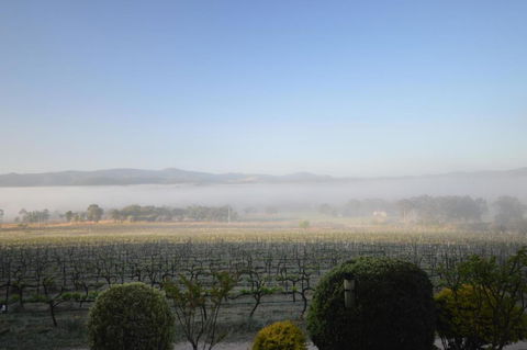 Sancerre Estate - Accommodation BNB 3