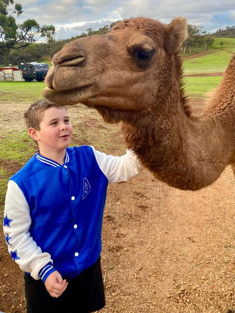 Sandalwood Downs Fabulous Farm Stay TOODYAY - Accommodation BNB 1