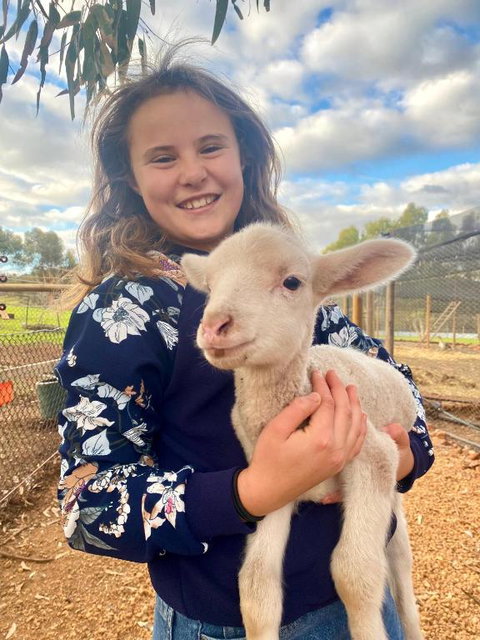 Sandalwood Downs Fabulous Farm Stay TOODYAY - Accommodation BNB 2