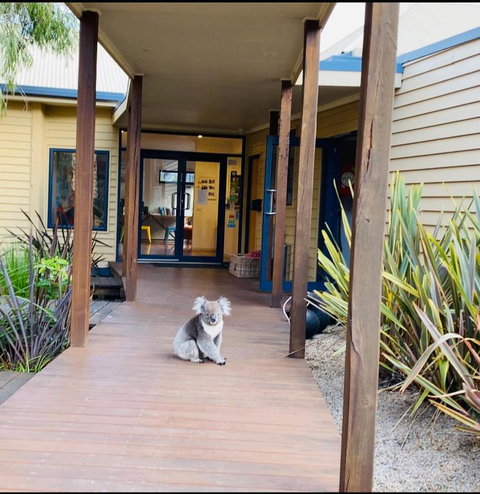 Sandpiper Motel Apollo Bay - Accommodation BNB 3