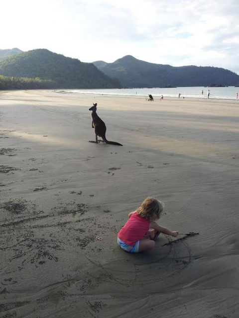 Seaforth Holiday Units - Accommodation BNB 1