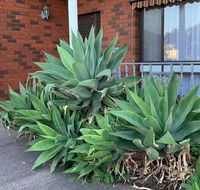 Beautiful Bedroom in Bentleigh East - Accommodation BNB