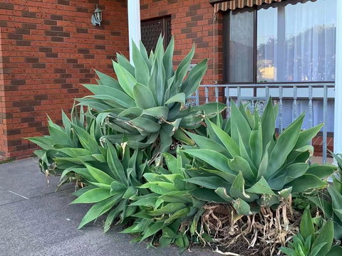 Beautiful Bedroom In Bentleigh East - Accommodation BNB 0