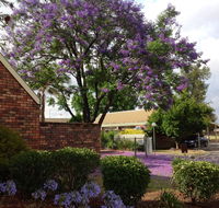Belvoir Village Motel  Apartments Wodonga - Accommodation BNB