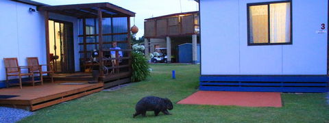 BIG4 Kelso Sands Holiday & Native Wildlife Park - Accommodation BNB 2