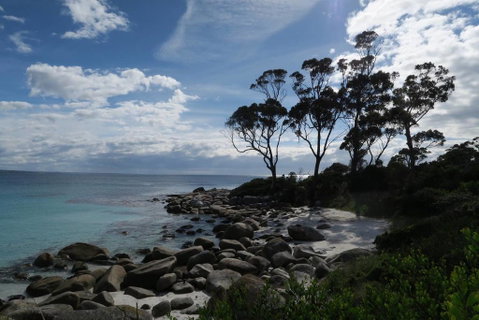 Binalong Bay Beach Shack - Accommodation BNB 0