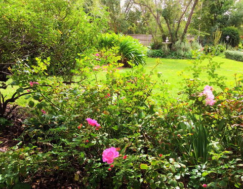 Bindley House B&B Cottage - Accommodation BNB 2