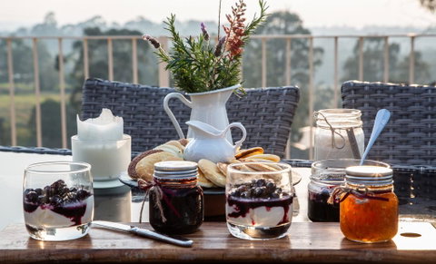 Blueberry Hills On Comleroy - Accommodation BNB 2