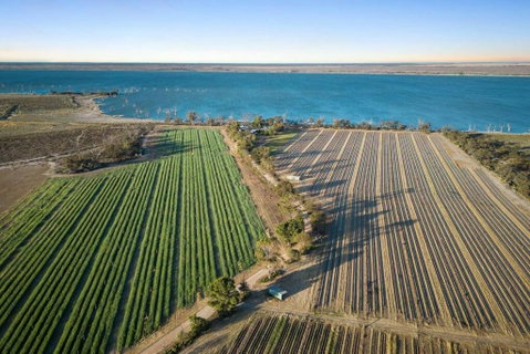 The Jetty House - Lake Frontage Barmera Riverland - Accommodation BNB 1