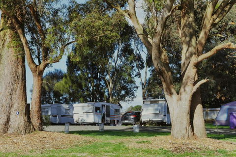 Woodmans Hill Motel - Accommodation BNB 2