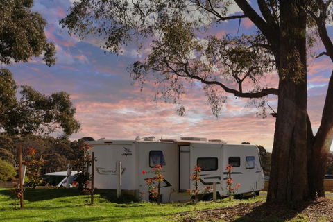 Woodmans Hill Motel - Accommodation BNB 3