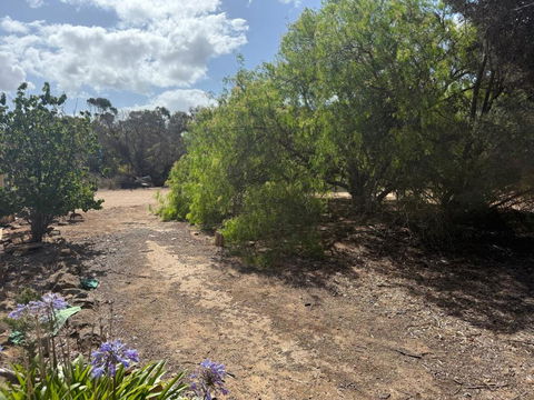 Woody House - Accommodation BNB 2