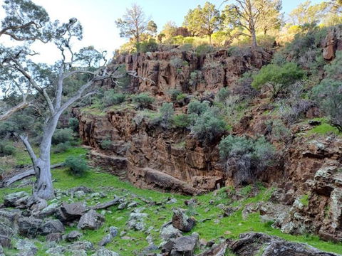 Spear Creek Holiday Park - Accommodation BNB 3