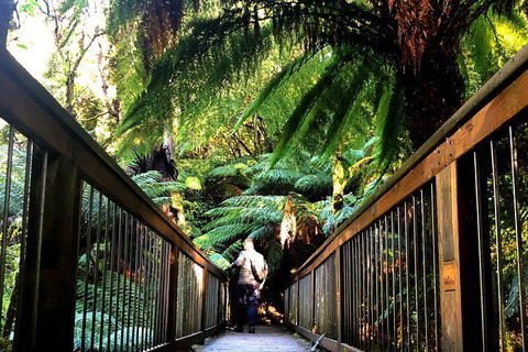 Small-Group Great Ocean Road And Twelve Apostles Full-Day Tour - Accommodation BNB 1