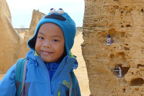 Private, Luxury Pinnacles Tour: Stargazing, Sand-boarding & Sightseeing - Accommodation BNB 1