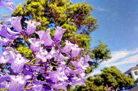 Big Perth (Private) Day Tour - Accommodation BNB 3