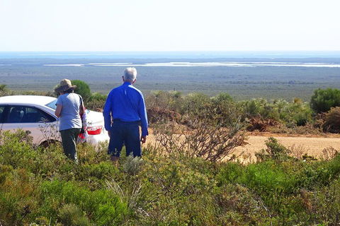 Spring Wildflower (Private) Day Tours - Accommodation BNB 3