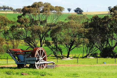Spring Wildflower (Private) Day Tours - Accommodation BNB 4