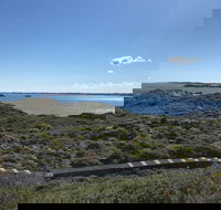Penguin Island And Fremantle - Canoe Chocolate  Coffee - Accommodation BNB