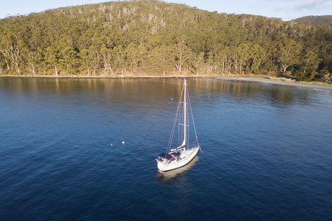Twilight Sail Bruny Island - Accommodation BNB 3