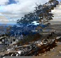 kunanyi / Mt Wellington Explorer Bus - 2 Hour Return Tour - Accommodation BNB