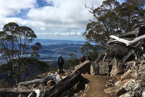 Kunanyi / Mt Wellington Explorer Bus - 2 Hour Return Tour - Accommodation BNB 0