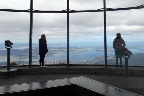 Kunanyi / Mt Wellington Explorer Bus - 2 Hour Return Tour - Accommodation BNB 1