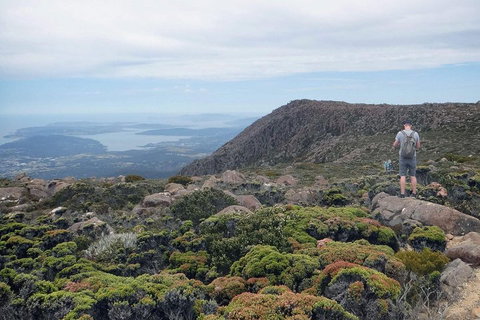 Kunanyi / Mt Wellington Explorer Bus - 2 Hour Return Tour - Accommodation BNB 3