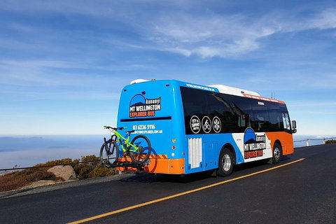 Kunanyi / Mt Wellington Explorer Bus - 2 Hour Return Tour - Accommodation BNB 4