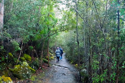 Kunanyi/Mt Wellington Tour & Hobart Hop-On Hop-Off Bus - Accommodation BNB 1