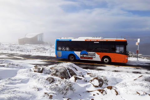 Kunanyi/Mt Wellington Tour & Hobart Hop-On Hop-Off Bus - Accommodation BNB 2