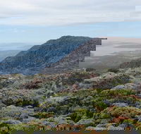 kunanyi/Mt Wellington Explorer Bus - One Way Tour - Accommodation BNB