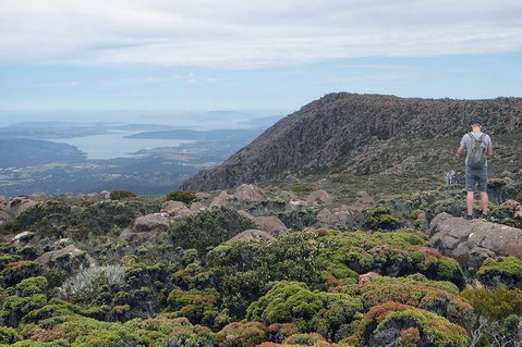 Kunanyi/Mt Wellington Explorer Bus - One Way Tour - Accommodation BNB 0