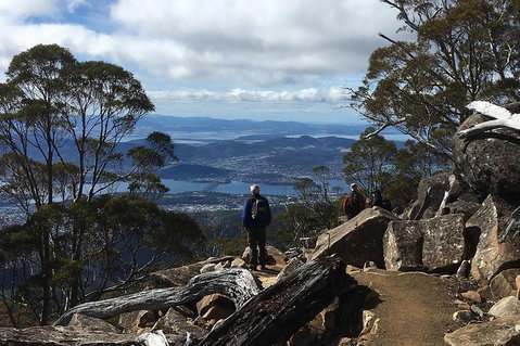 Kunanyi/Mt Wellington Explorer Bus - One Way Tour - Accommodation BNB 2