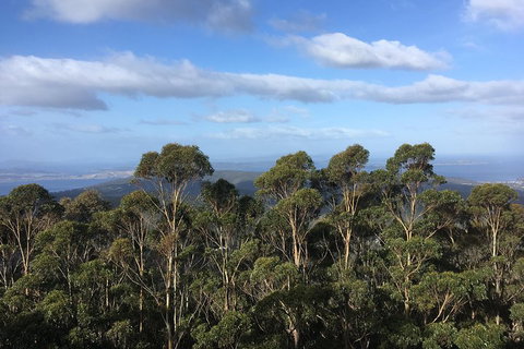 Kunanyi/Mt Wellington Explorer Bus - One Way Tour - Accommodation BNB 5