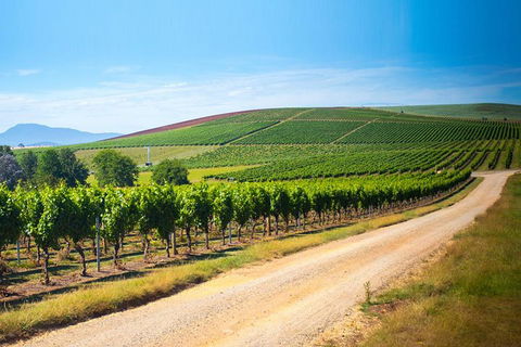 Full Day Tamar Valley Wine Tour - Accommodation BNB 1