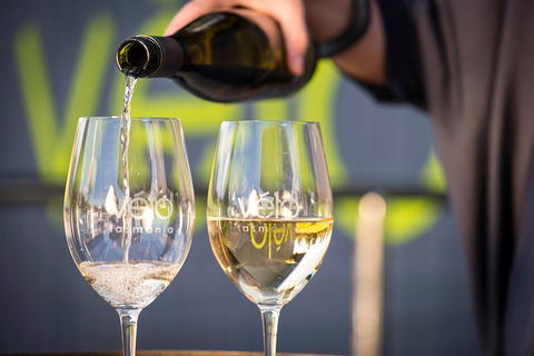 Half Day Tamar Valley Wine Tour - Accommodation BNB 0