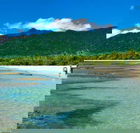 5-Day Best of Cairns with Daintree Kuranda and Great Barrier Reef - Accommodation BNB