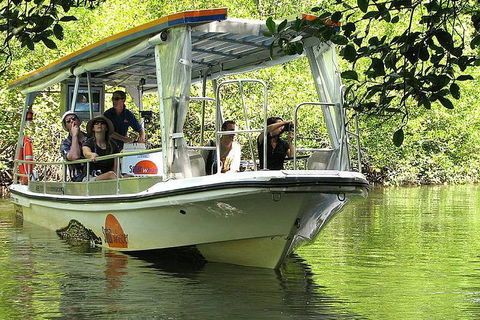 5-Day Best Of Cairns With Daintree, Kuranda, And Great Barrier Reef - Accommodation BNB 1