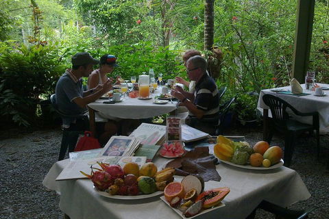 5-Day Best Of Cairns With Daintree, Kuranda, And Great Barrier Reef - Accommodation BNB 4