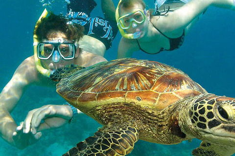 8-Day Cairns Tour: Great Barrier Reef, Kuranda, Daintree Rainforest - Accommodation BNB 1