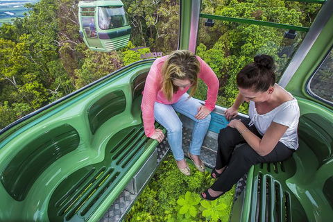 8-Day Cairns Tour: Great Barrier Reef, Kuranda, Daintree Rainforest - Accommodation BNB 3