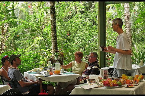 8-Day Cairns Tour: Great Barrier Reef, Kuranda, Daintree Rainforest - Accommodation BNB 4
