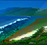 Cairns Reef and Rainforest Combo Daintree Rainforest and the Great Barrier Reef - Accommodation BNB