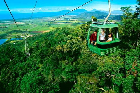 4-Day Cairns Ultimate Combo: Daintree Rainforest, Reef, Kuranda & Paronella Park - Accommodation BNB 1