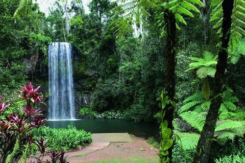 Paronella Park And Millaa Millaa Falls Full-day Tour From Cairns - Accommodation BNB 3