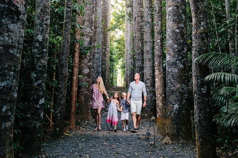 Paronella Park And Millaa Millaa Falls Full-day Tour From Cairns - Accommodation BNB 5
