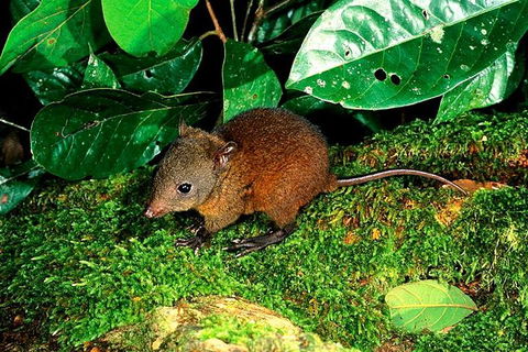 3-Day Small-Group Tour Of North Queensland With Pick Up - Accommodation BNB 0