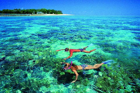 4-Day Cairns With Great Barrier Reef And Daintree Rainforest - Accommodation BNB 2