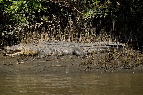 4-Day Cairns With Great Barrier Reef And Daintree Rainforest - Accommodation BNB 4